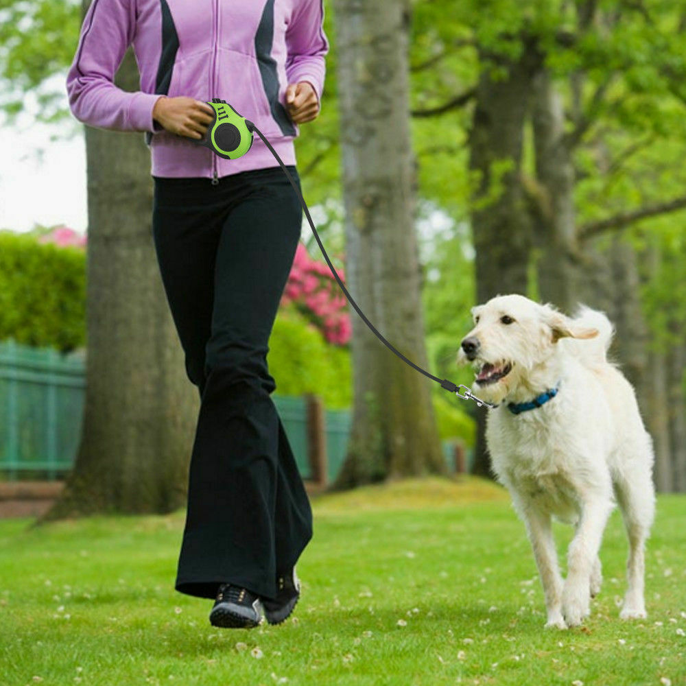 Versatile Retractable Dog Leash - Adjustable Length, Comfortable Grip - Best Pet Pack