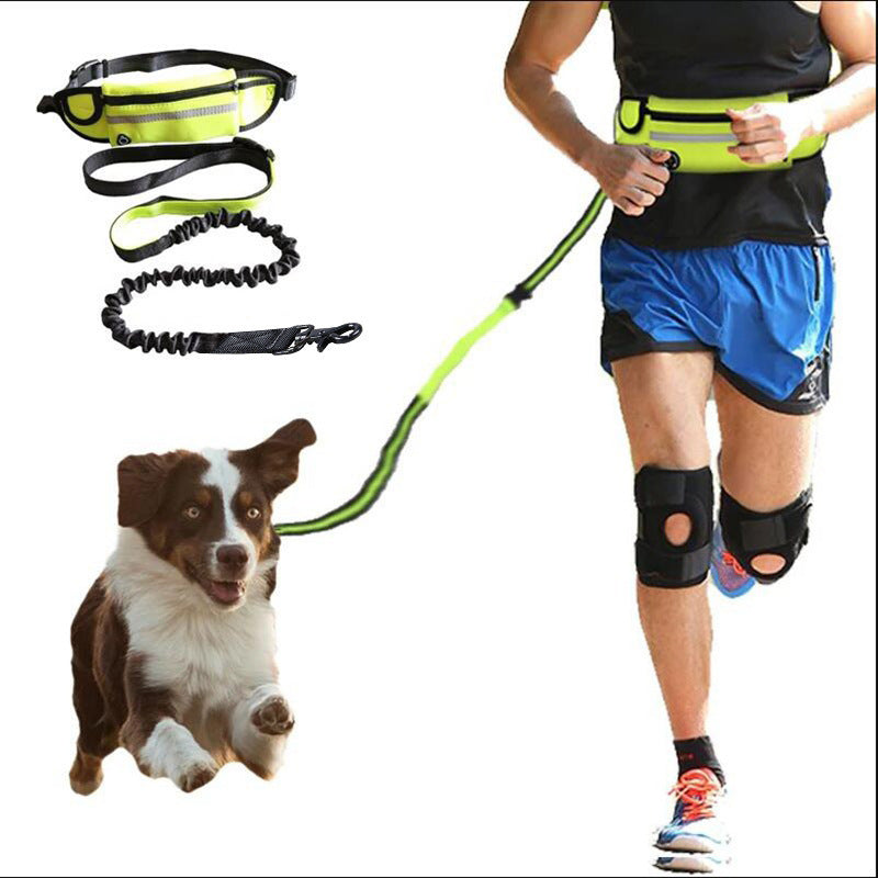 Hands Free Dog Leash - Shock Absorbing, With Phone Pocket & Bottle Holder - Best Pet Pack