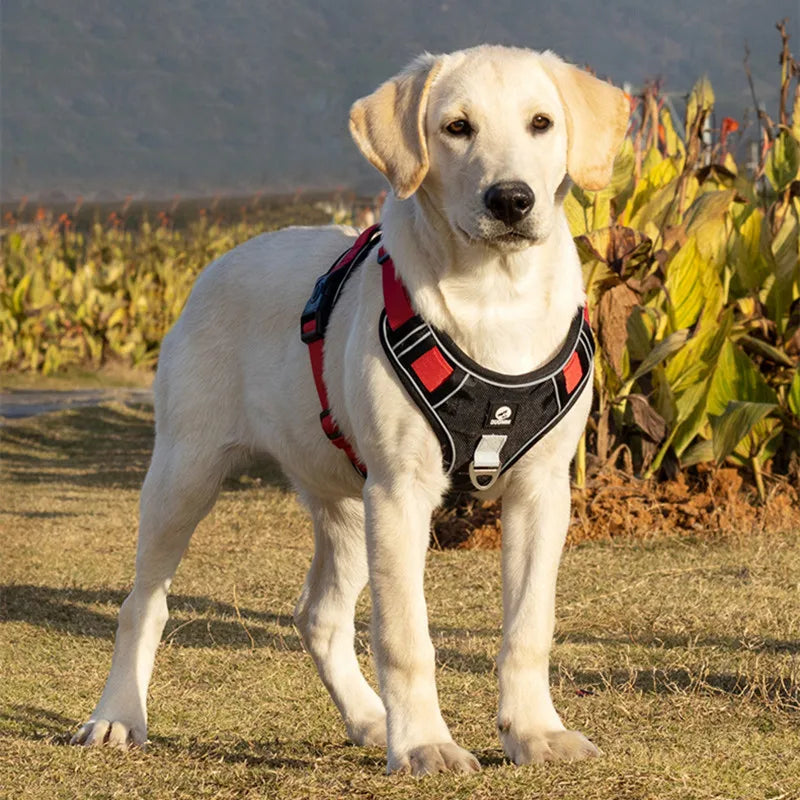 Reflective Dog Harness - Adjustable & Safe - Best Pet Pack