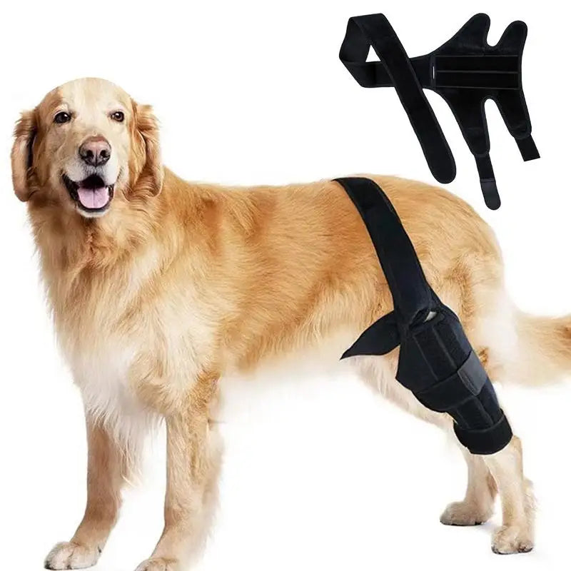 Amazing Dog Knee Brace for Torn Acl