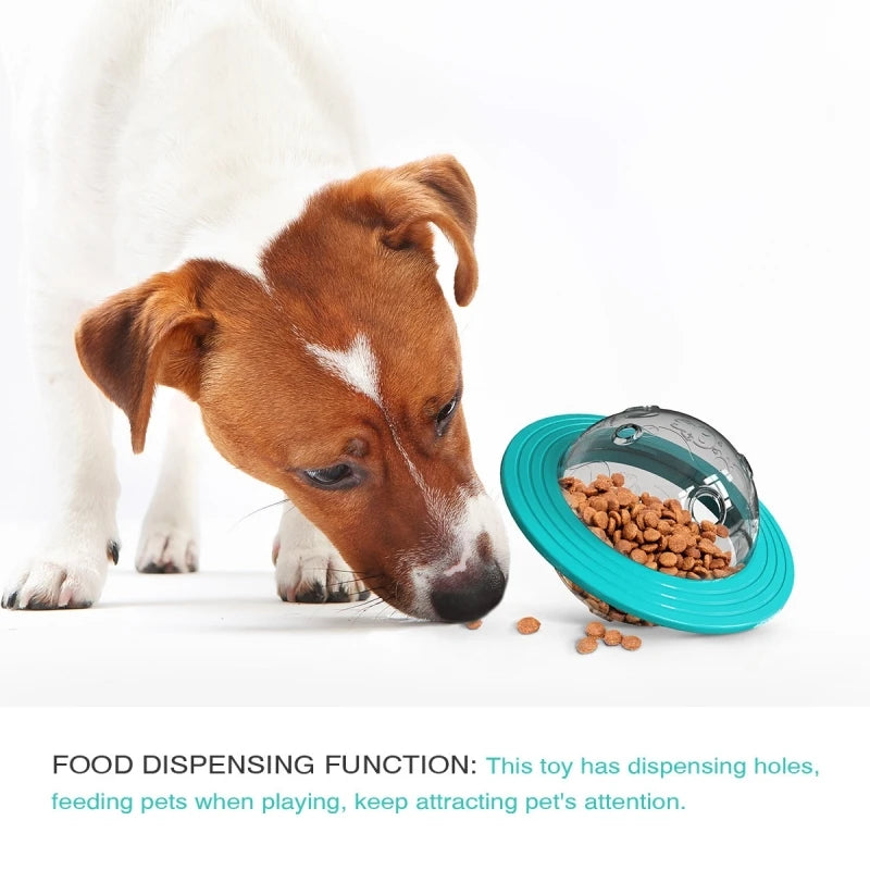 Multifunctional Dog Feeder Toy - Leaking Disc & Fun - Best Pet Pack