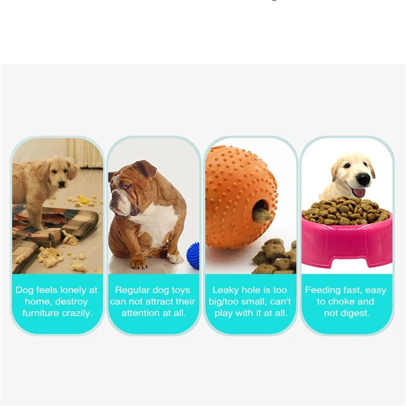 Multifunctional Dog Feeder Toy - Leaking Disc & Fun - Best Pet Pack