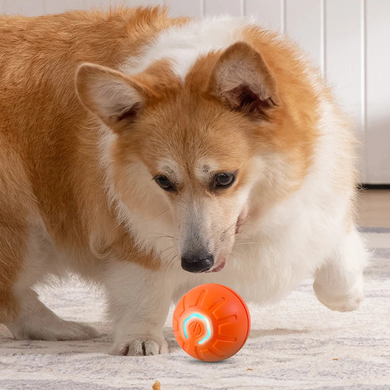 Smart Moving Dog Toy Ball - USB Rechargeable & Interactive - Best Pet Pack