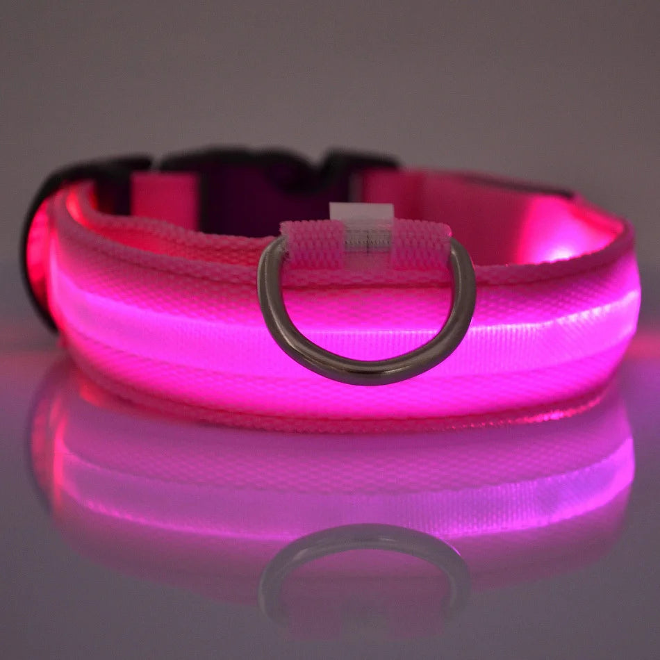 Glow-in-the-Dark LED Dog Collar- Safety Flashing - Best Pet Pack