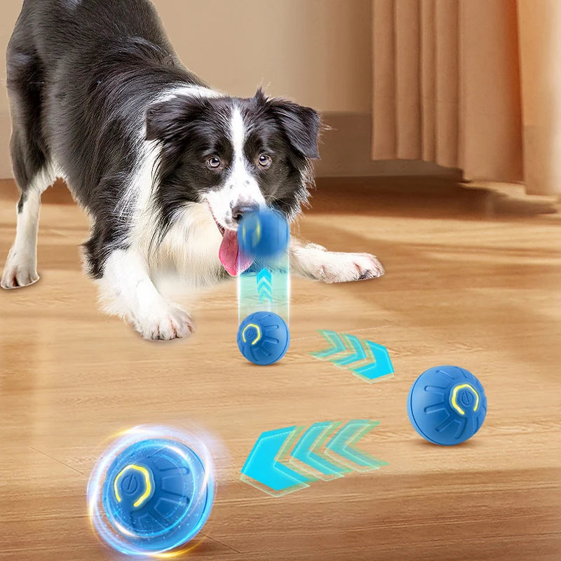 Smart Moving Dog Toy Ball - USB Rechargeable & Interactive - Best Pet Pack