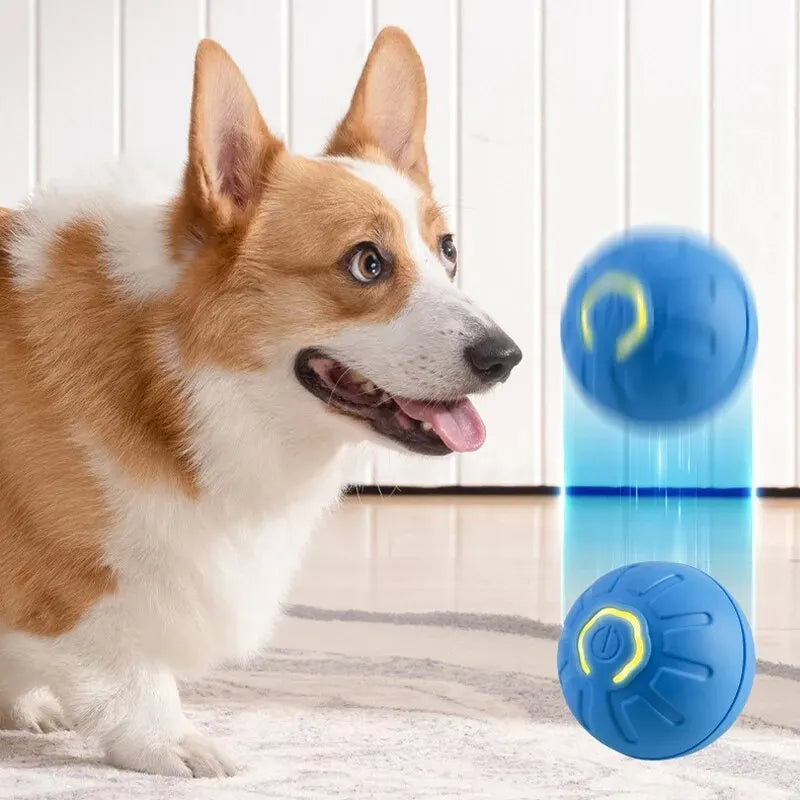 Smart Moving Dog Toy Ball - USB Rechargeable & Interactive - Best Pet Pack