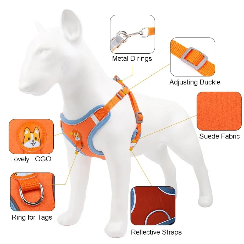 Adjustable Dog Harness & Leash Set - Reflective Vest for Small & Medium Size Dogs - Best Pet Pack