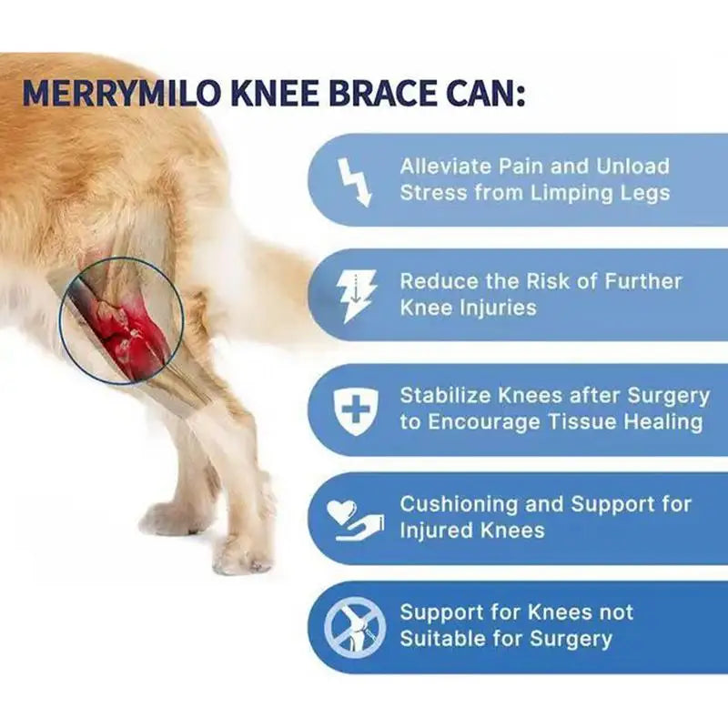 Amazing Dog Knee Brace for Torn Acl