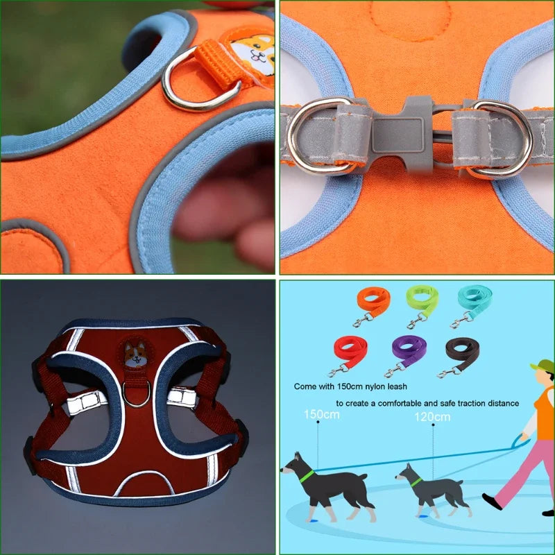 Adjustable Dog Harness & Leash Set - Reflective Vest for Small & Medium Size Dogs - Best Pet Pack